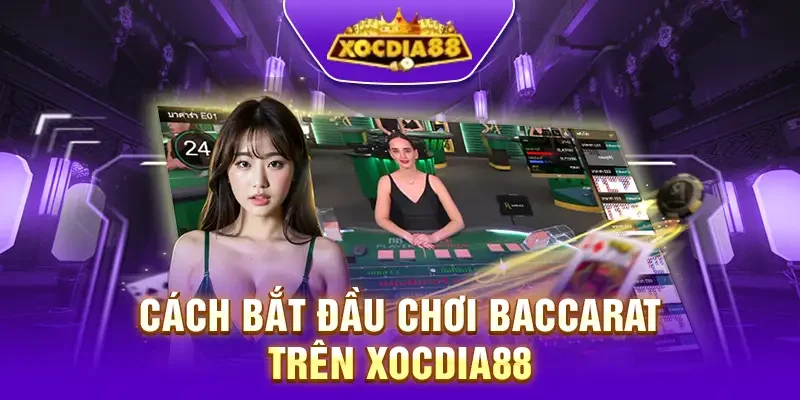 Hướng dẫn chi tiết cách chơi Baccarat cho người mới