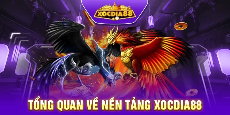 XocDia88 - sân chơi đá gà trực tuyến hàng đầu tại Việt Nam