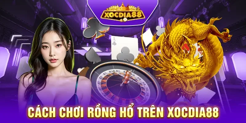 Hướng dẫn chi tiết cách chơi Rồng hổ tại Xocdia88