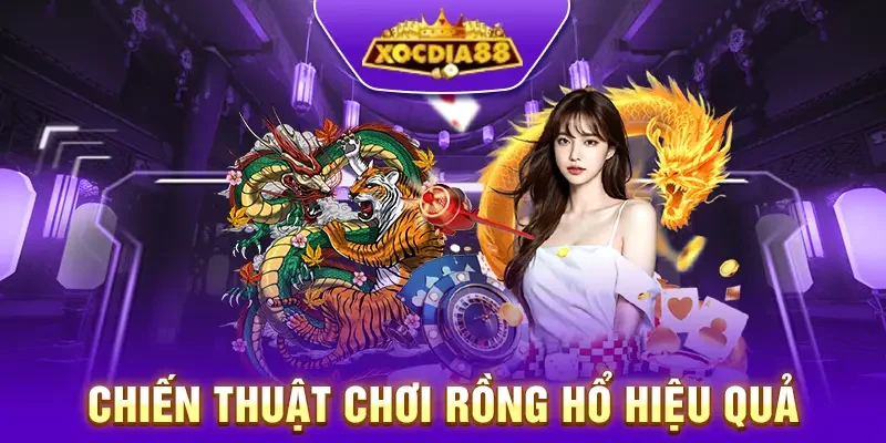 Mẹo chơi rồng hổ hiệu quả từ cao thủ