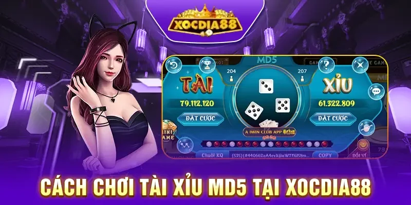 Hướng dẫn cách chơi tài xỉu MD5 xocdia88