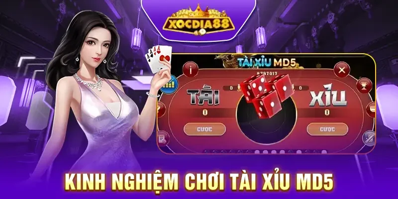 Kinh nghiệm chơi tài xỉu MD5 Xocdia88